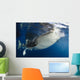 Whale Shark Feeding under Wall Decal Design 19