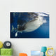 Whale Shark Feeding under Wall Decal Design 19