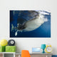 Whale Shark Feeding under Wall Decal Design 19
