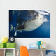 Whale Shark Feeding under Wall Decal Design 19