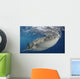 Whale Shark Feeding under Wall Decal Design 18