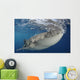 Whale Shark Feeding under Wall Decal Design 18