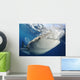 Whale Shark Feeding under Wall Decal Design 17