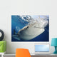 Whale Shark Feeding under Wall Decal Design 17