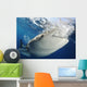 Whale Shark Feeding under Wall Decal Design 17