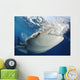 Whale Shark Feeding under Wall Decal Design 17