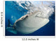 Whale Shark Feeding under Wall Decal Design 17