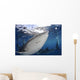 Whale Shark Feeding under Wall Decal Design 16