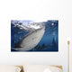 Whale Shark Feeding under Wall Decal Design 16