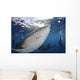 Whale Shark Feeding under Wall Decal Design 16