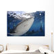 Whale Shark Feeding under Wall Decal Design 16
