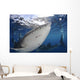 Whale Shark Feeding under Wall Decal Design 16