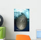 Net Full Ikan Puri Wall Decal