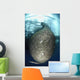 Net Full Ikan Puri Wall Decal