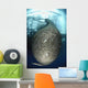 Net Full Ikan Puri Wall Decal
