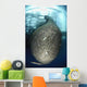 Net Full Ikan Puri Wall Decal
