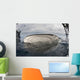 Whale Shark Feeding Fishing Wall Decal