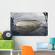 Whale Shark Feeding Fishing Wall Decal