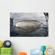 Whale Shark Feeding Fishing Wall Decal