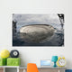 Whale Shark Feeding Fishing Wall Decal