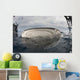 Whale Shark Feeding Fishing Wall Decal