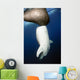 Whale Shark Feeding under Wall Decal Design 15