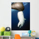 Whale Shark Feeding under Wall Decal Design 15