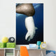 Whale Shark Feeding under Wall Decal Design 15