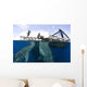 Whale Shark Feeding under Wall Decal Design 14