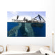 Whale Shark Feeding under Wall Decal Design 14