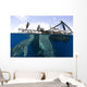Whale Shark Feeding under Wall Decal Design 14