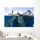 Whale Shark Feeding under Wall Decal Design 14