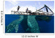 Whale Shark Feeding under Wall Decal Design 14