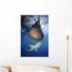 Whale Shark Feeding under Wall Decal Design 12