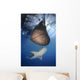Whale Shark Feeding under Wall Decal Design 12