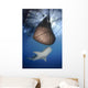 Whale Shark Feeding under Wall Decal Design 12