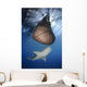 Whale Shark Feeding under Wall Decal Design 12