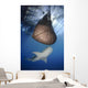 Whale Shark Feeding under Wall Decal Design 12