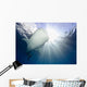 Whale Shark Feeding under Wall Decal Design 11