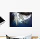 Whale Shark Feeding under Wall Decal Design 10