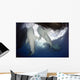 Whale Shark Feeding under Wall Decal Design 10