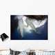 Whale Shark Feeding under Wall Decal Design 10