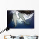 Whale Shark Feeding under Wall Decal Design 10