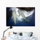 Whale Shark Feeding under Wall Decal Design 10