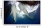 Whale Shark Feeding under Wall Decal Design 10