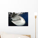 Whale Shark Feeding under Wall Decal Design 9