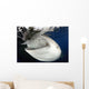 Whale Shark Feeding under Wall Decal Design 9