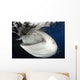Whale Shark Feeding under Wall Decal Design 9