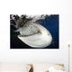 Whale Shark Feeding under Wall Decal Design 9