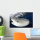 Whale Shark Feeding under Wall Decal Design 8